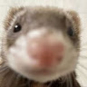 Meet your Posher, Morgan